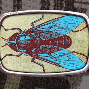 May include: A rectangular belt buckle with a silver-colored frame. The buckle features a detailed illustration of a fly in teal and maroon against a light green background. The buckle is attached to a black leather belt.