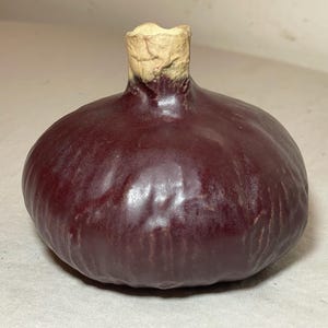 May include: A small, dark red ceramic vase with a rounded, bulbous shape and a slightly flared opening. The vase has a textured surface and a light brown rim.