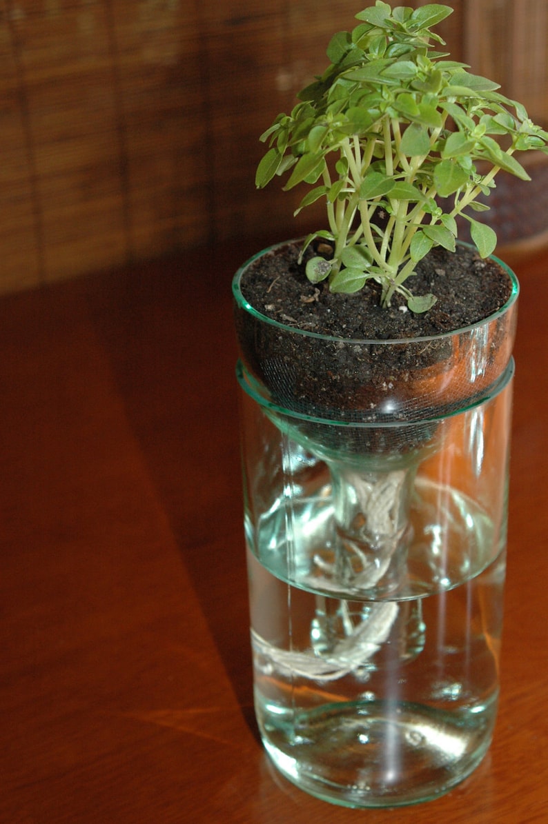 Self watering planter made from recycled wine bottle. perfect Etsy