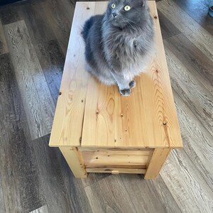 May include: A rectangular wooden coffee table with a light natural finish and visible wood grain, featuring a lower shelf and sturdy legs. A fluffy, long-haired grey cat with bright yellow-green eyes is sitting on the top surface of the table.
