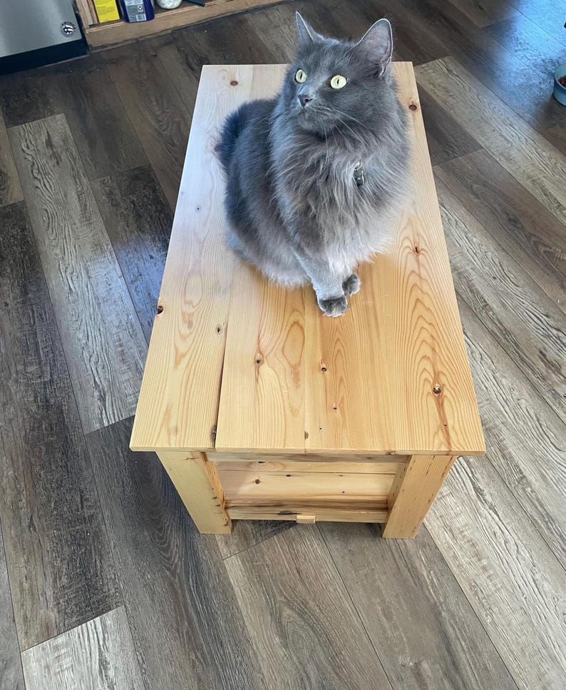 May include: A rectangular wooden coffee table with a light natural finish and visible wood grain, featuring a lower shelf and sturdy legs. A fluffy, long-haired grey cat with bright yellow-green eyes is sitting on the top surface of the table.