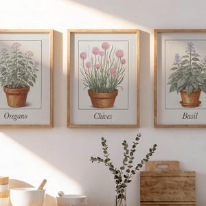 Hierbas para cocina rústica imprimibles: albahaca, cebollino, orégano. Descarga digital / PP006