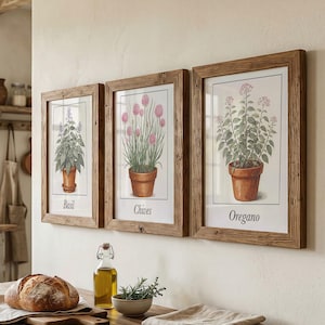 Puede incluir: Tres láminas botánicas enmarcadas con ilustraciones de hierbas: Albahaca, Cebollino y Orégano. Cada lámina muestra la hierba en una maceta de terracota, sobre un fondo blanco. Los marcos son de madera rústica de color marrón claro.