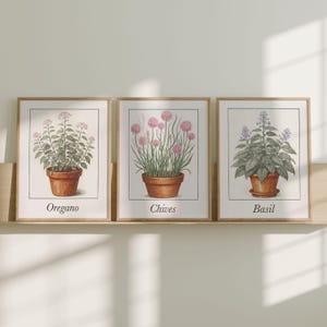 May include: Three framed botanical prints depicting herbs. The prints show illustrations of oregano, chives, and basil, each in a terracotta pot. The prints have a white background with the herb's name below. The frames are light brown.