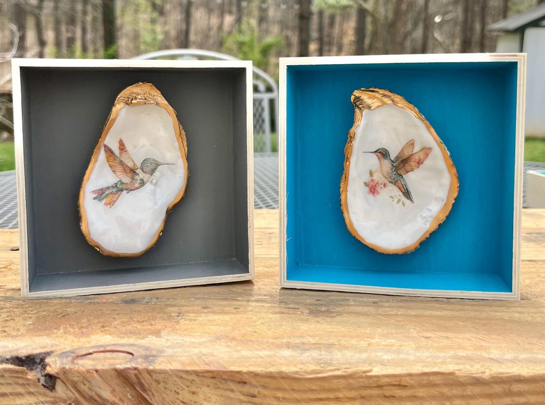 Jewel Tone Hummingbird Oyster Shell Art – Coastal Garden Shadow Box - Etsy