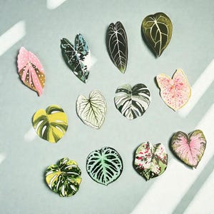 Puede incluir: Un surtido de pegatinas con forma de hoja coloridas. Las pegatinas presentan varios tonos de verde, rosa, amarillo y blanco, con patrones de venas detallados. Las hojas están dispuestas sobre una superficie azul claro, mostrando un tema botánico.