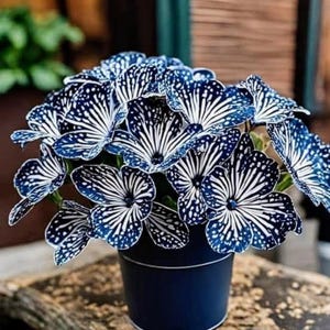 Rare Plants