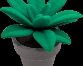 Custom Printed Succulent, Small Desk Decor