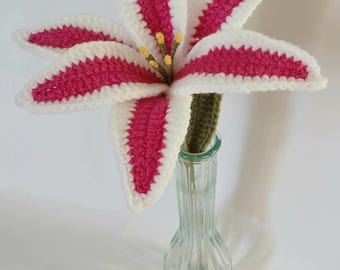 Puede incluir: Un lirio hecho a mano con ganchillo, con pétalos blancos bordeados en rosa brillante y un tallo verde. La flor se exhibe en un jarrón de cristal transparente, creando un arreglo floral delicado y artístico.