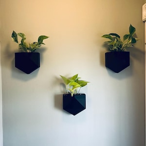 Puede incluir: Tres maceteros de pared geométricos negros dispuestos en forma triangular. Cada recipiente negro mate presenta un diseño angular facetado y contiene una pequeña planta de interior verde con hojas variegadas, creando un conjunto de tres unidades.