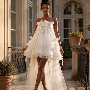 mini skirt wedding dress with long train Charming a line reception dress with Detachable Train, V-Neck, Long Sleeves, and Feather Accents