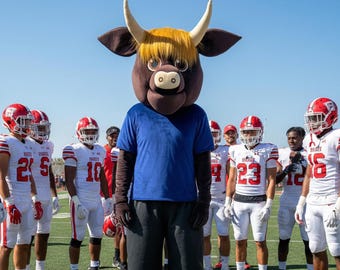 Disfraz de mascota de vaca de las Tierras Altas para adultos, traje de toro esponjoso para fiestas temáticas de granja y competiciones deportivas, ropa de personaje de animación profesional