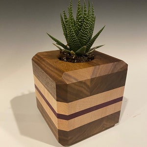 Mini Sukkulenten Pflanzgefäße aus Holz!