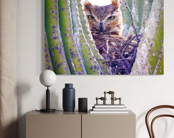Great Horned Owl in Saguaro Cactus | Canvas Print | Arizona Desert | Owl Lover Gifts | Wildlife Photography