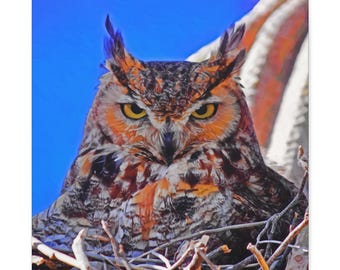 Canvas Print Horned Owl | Wildlife Wall Decor | Arizona Photography Art | Owl Lovers Gift