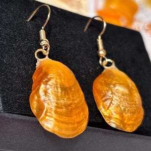 Op de afbeelding: Een paar handgemaakte oorbellen met druppelvormige, oranje schelpen. De schelpen hangen aan goudkleurige oorhaken. De oorbellen worden gepresenteerd op een zwart oppervlak met een vage achtergrond.