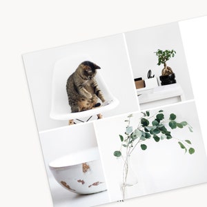 Plantilla de folleto tríptico de fotografía: luminosa: plantilla de folleto de marketing empresarial de 5 x 5, plantilla de Photoshop, plantilla de Canva imagen 6