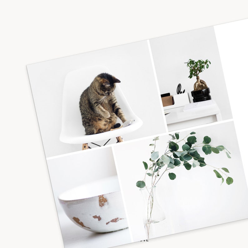 Plantilla de folleto tríptico de fotografía: luminosa: plantilla de folleto de marketing empresarial de 5 x 5, plantilla de Photoshop, plantilla de Canva imagen 6