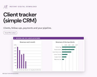 May include: A digital client tracker and simple CRM Excel file. The interface displays a dashboard titled Revenue and top clients in pictures, featuring a purple bar chart for monthly revenue and a green horizontal bar chart for top clients.