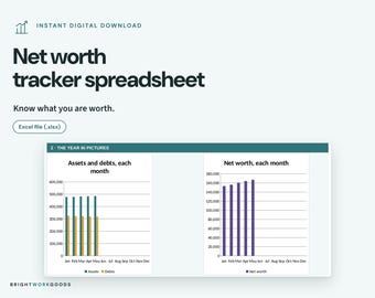 May include: A digital net worth tracker spreadsheet with the text Net worth tracker spreadsheet and Know what you are worth. It includes an Excel file (.xlsx) label and a chart titled The Year in Pictures showing monthly assets, debts, and net worth.