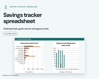 May include: A digital savings tracker spreadsheet for sinking funds, goals, and an emergency fund. The interface displays charts titled Goal and saved, by fund and Deposits and withdrawals each month, with text labels for financial categories.