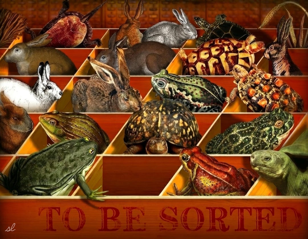 To Be Sorted Art Print on Watercolor Paper - Etsy Australia