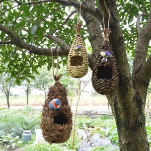 Könnte beinhalten: Drei hängende Vogelhäuser an einem Ast. Die Vogelhäuser bestehen aus gewebten Materialien in Braun- und Beigetönen. Ein Vogelhaus hat einen kleinen blauen und orangefarbenen Vogel im Inneren. Die Vogelhäuser sind mit Schnur an den Ästen aufgehängt.