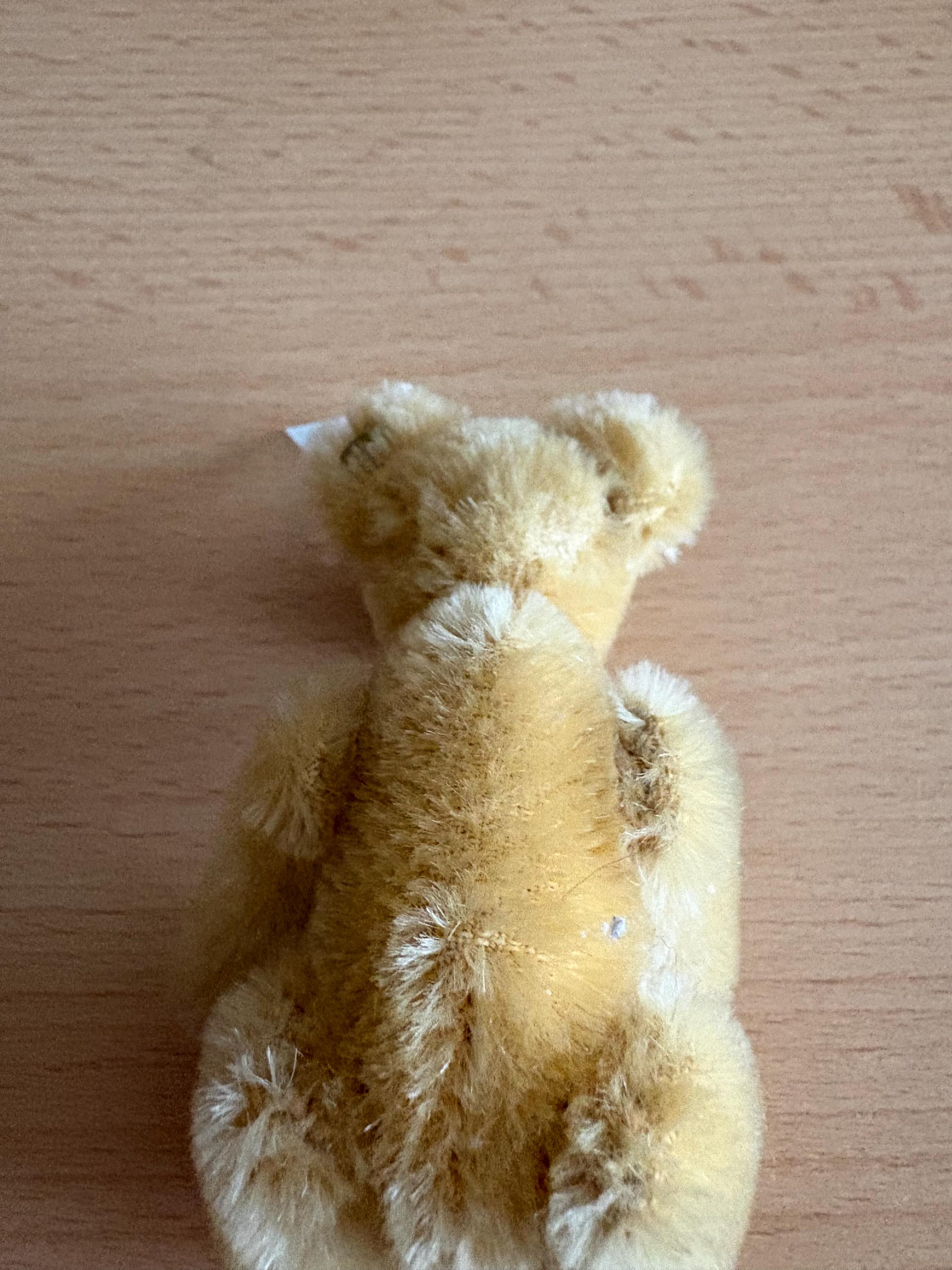 Steiff Club 1997 Teddybär Blond 7 Replica 1922 - Etsy Ireland