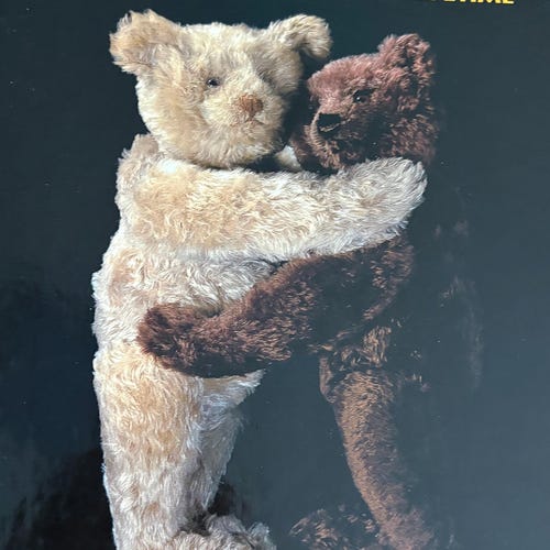 Steiff Polar - the Titanic Bear Replica 1909/1994 - Etsy Ireland