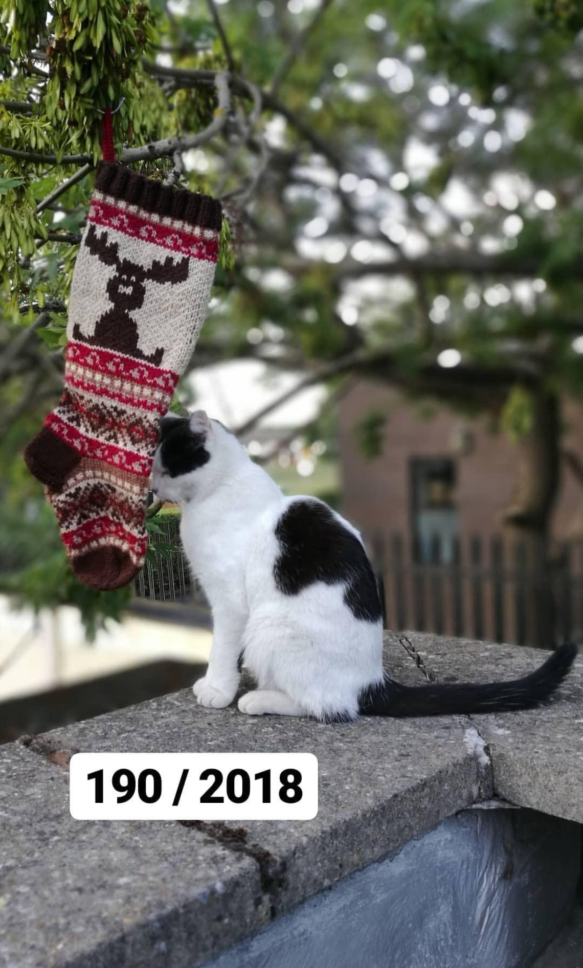 Reindeer Fairisle Pattern, Christmas Stockings Knit Pattern, Fair Isle ...