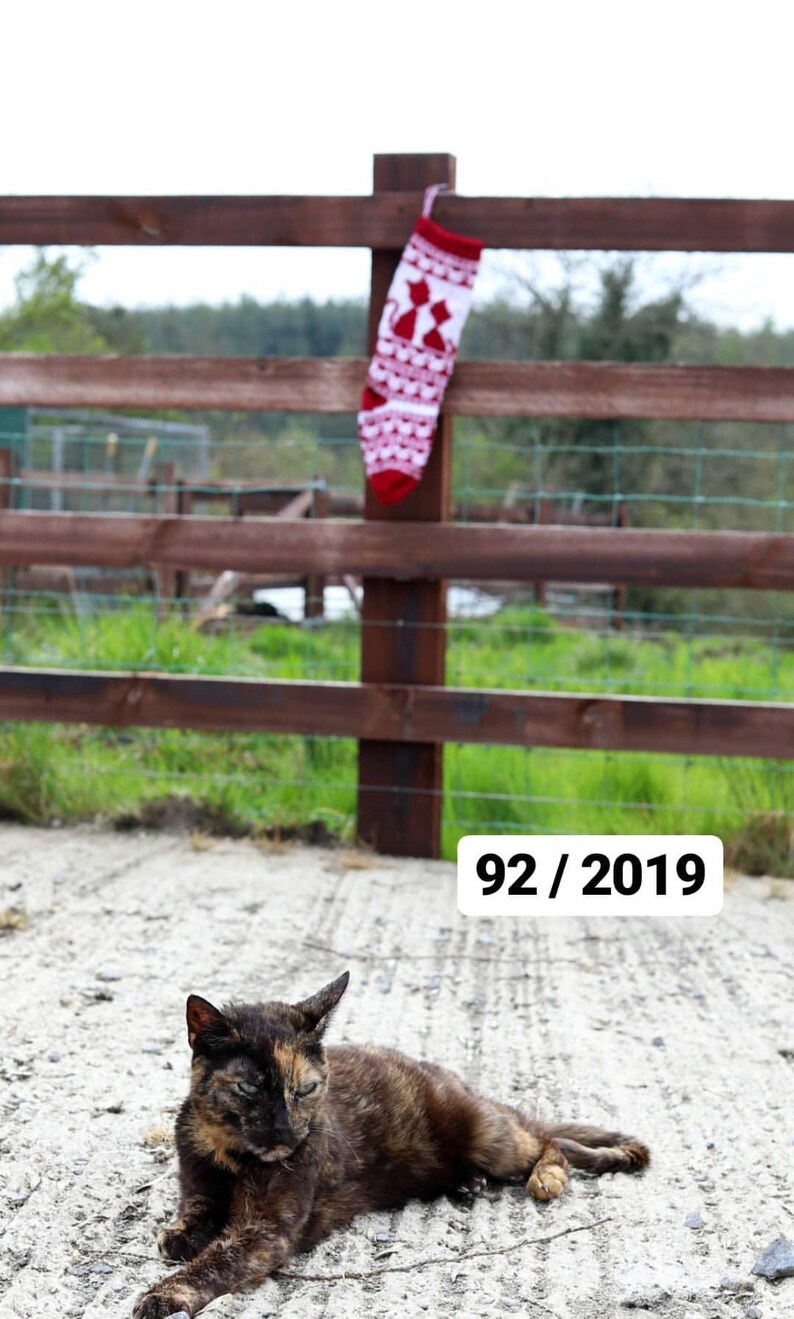 Cat Santa Sock RWLA Red Christmas Stocking Knit Christmas Stocking Knit Holiday Stocking Personalized Sock Fair isle stocking