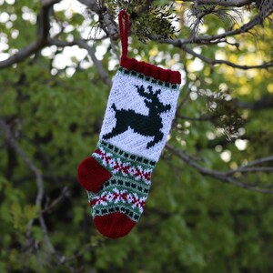 GRANNY RED FOX knits Christmas socks Yarn Needlework Cute New Postcard 