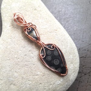May include: A copper wire wrapped pendant featuring a black and silver fossilized stone with a teardrop shape.