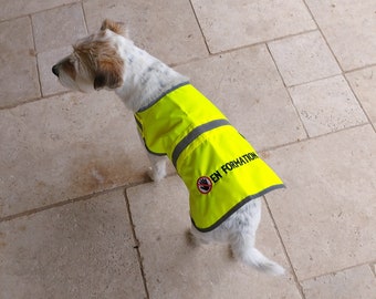 Veste pour chien en jaune brodé avec votre texte et le logo main barrée