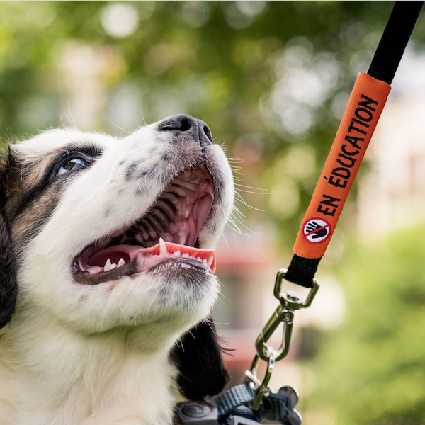 Manchon Laisse De Chien Manchon Harnais chien Manchon Canicode Manchon brodé avec votre texte Français et English