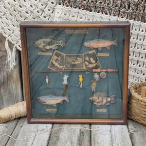 May include: A square wooden shadow box display case featuring four mounted fish specimens, three vintage black and white photographs, a miniature fishing rod, and four assorted fishing lures arranged against a dark green background.