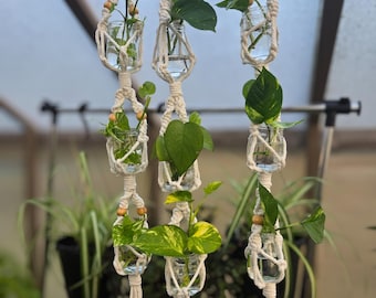 Hanging Macramé Propagation Station | Handmade Boho Decor with Glass Jars