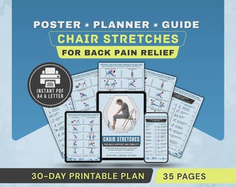 Chair Pilates for Back Pain Poster, Seated Yoga Strength & Stretching Exercises Printable PDF Chart