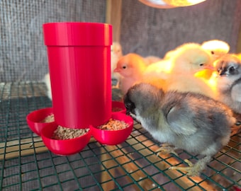 Kleine kuikens en kwartels