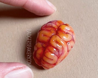 Miniature BRAIN, Halloween Prop for BJD Dolls, Blythe, Creepy Dollhouse Specimen