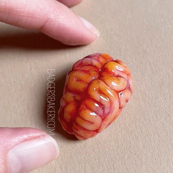 Miniature BRAIN, Halloween Prop for BJD Dolls, Blythe, Creepy Dollhouse Specimen