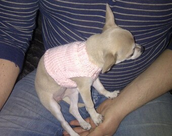 teacup chihuahua accessories