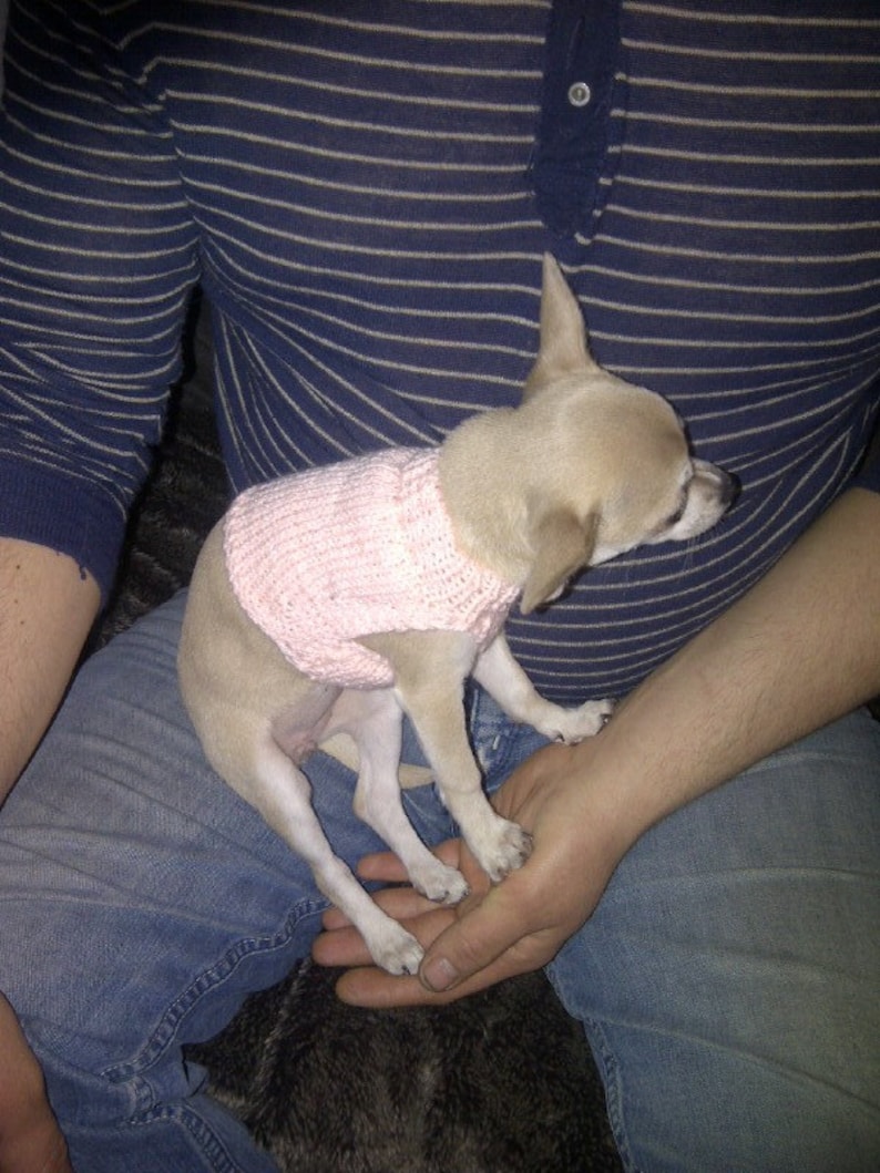 4 Inch Teacup Chihuahua Jumper Knitting Pattern Etsy