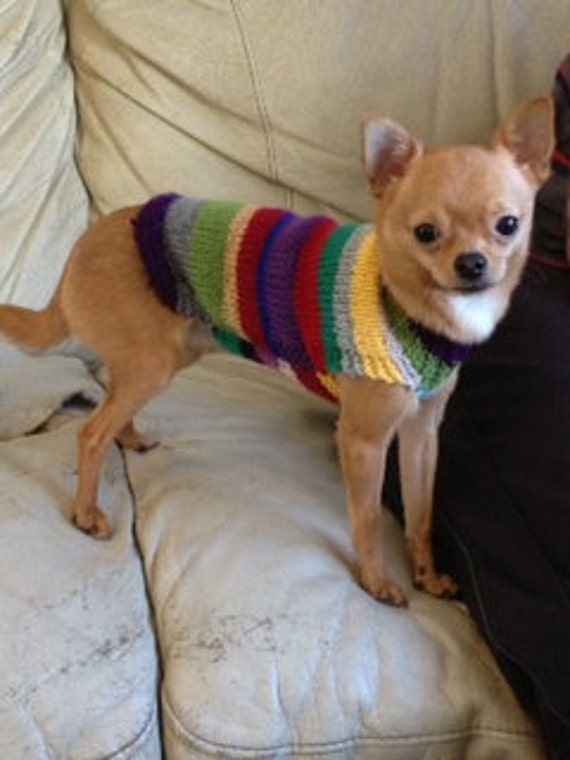 4 Inch Teacup Chihuahua Jumper Knitting 
