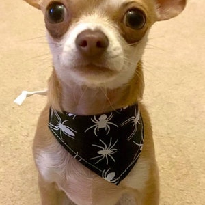Small pet tea cup dogs, puppies  kittens, chihuahua bandana(s) HALLOWEEN