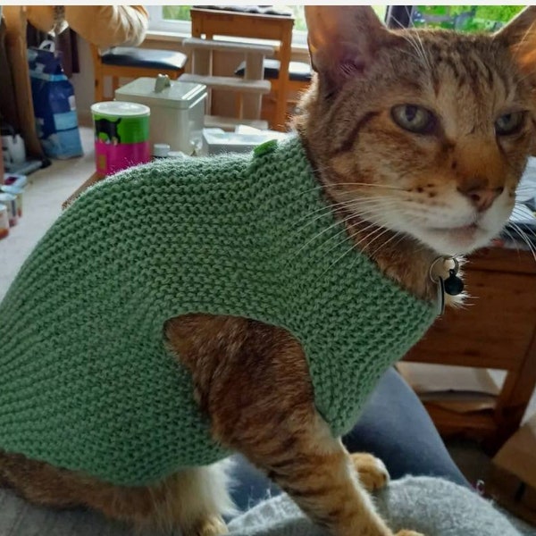 Custom Made to measure Cat, Peterbald, Sphynx, Devon Rex, Cornish Rex, jumper, sweater, you choose design. ANYTHING!!