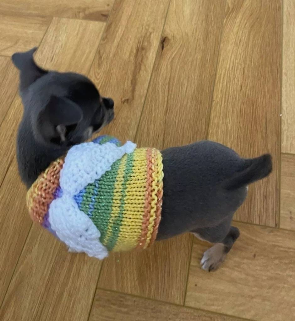 teacup chihuahua sweaters