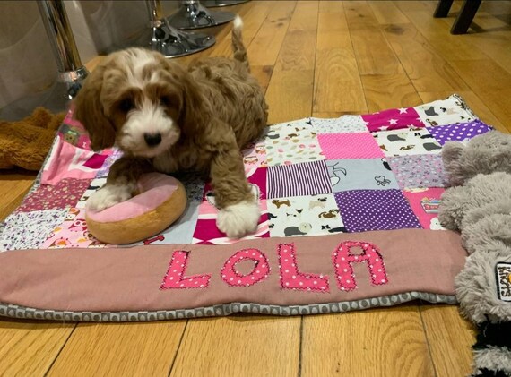 Patchwork dog best sale bed