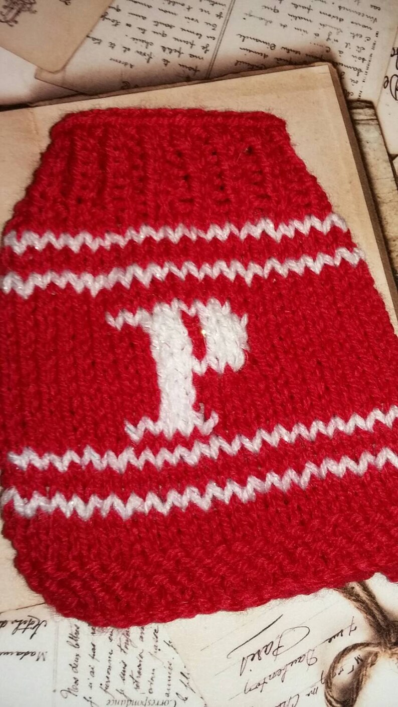 vince dog sweater