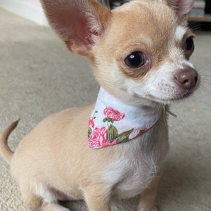 Small pet tea cup dogs, puppies  kittens, chihuahua bandana(s) Choose colour theme and amount.